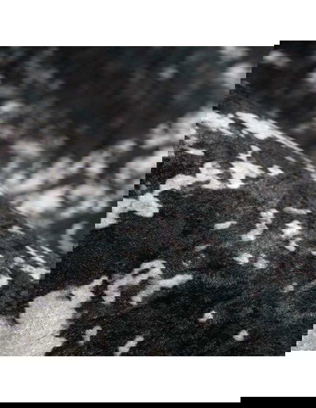 tappeto Asti 725 bianco e nero