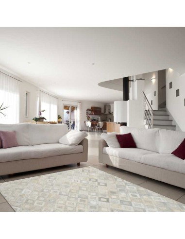 tappeto Carpi 110 grigio argento