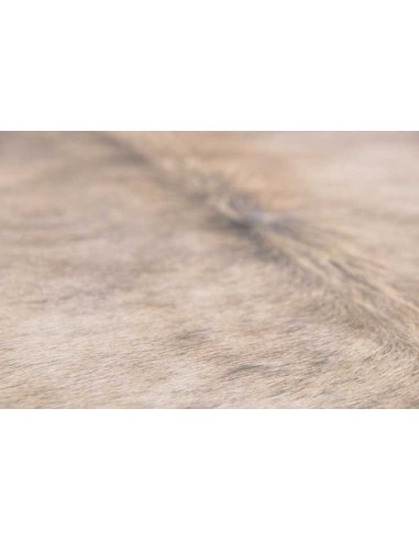 tappeto Arianna GF 079 555 beige multi