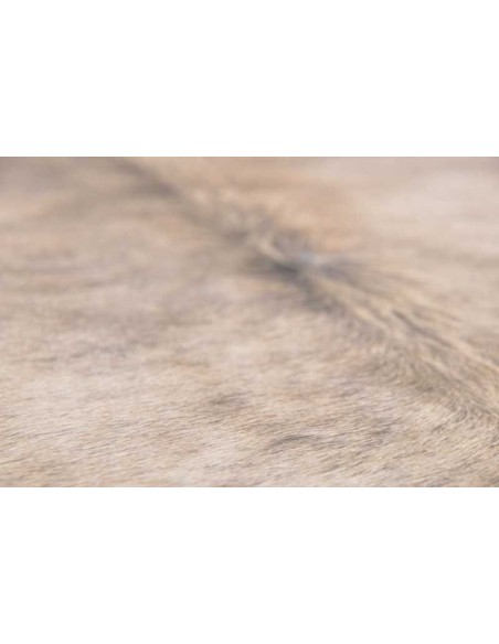tappeto Arianna GF 079 555 beige multi