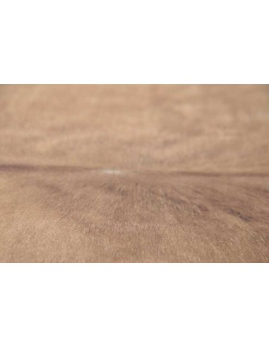 tappeto Arianna GF 082 555 beige multi