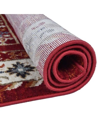 tappeto FASA 22004 205 rosso multi