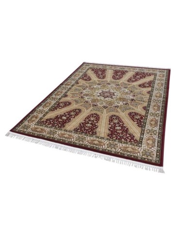 tappeto ILARIA GF 054 205 rosso multi