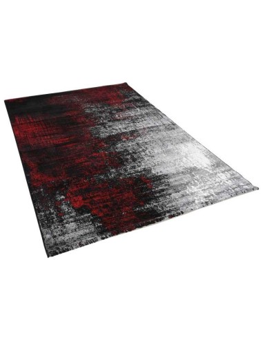 tappeto MONIA 2060 205 rosso multi