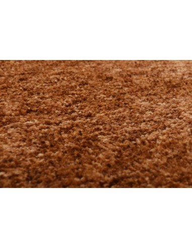 tappeto RISSANI UNI 450 terra