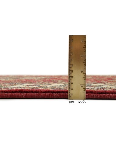 tappeto Hamadan 359 200 rosso