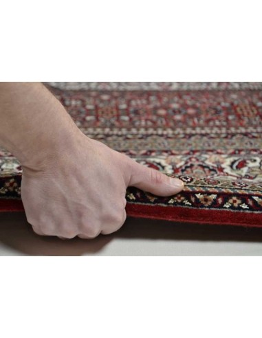 tappeto Sirsa Silk S Bidjar 562 rosso crema