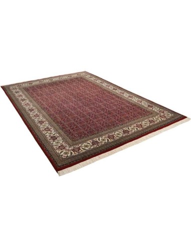 tappeto Sirsa Silk S BidjarAO 562 rosso crema