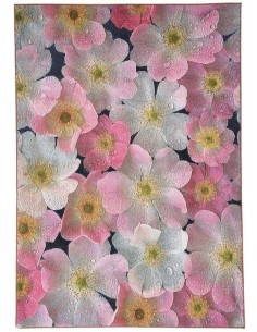 tappeto GALERIE 617 800 multicolor 2