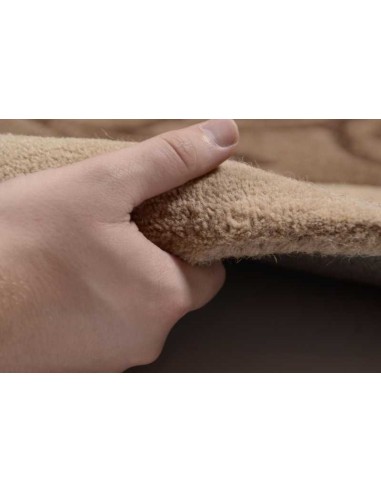 tappeto Hawai FE 3205 553 beige multi