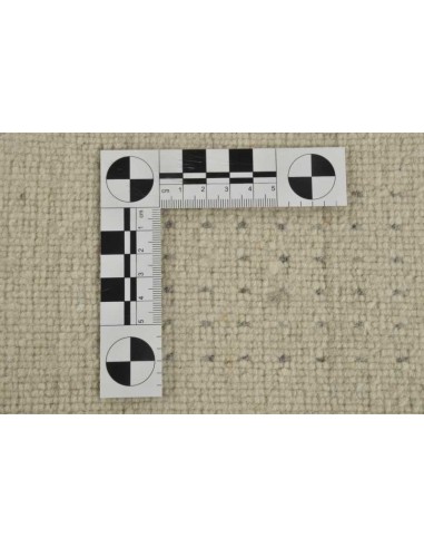 tappeto New York ZO 3137 19 550 beige