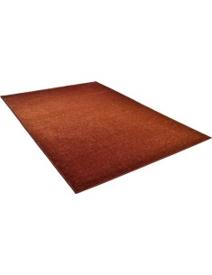 tappeto Renzo 928 450 terra 2