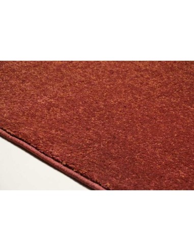 tappeto Renzo 928 450 terra