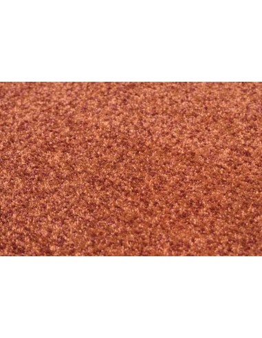 tappeto Renzo 928 450 terra