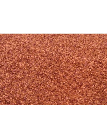 tappeto Renzo 928 450 terra