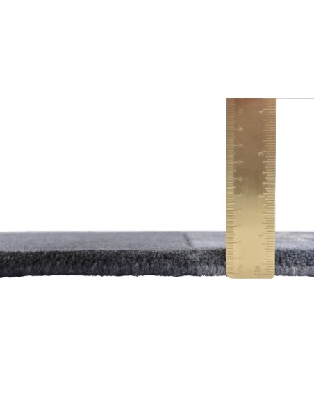 tappeto Royal Ganges 991 640 argento