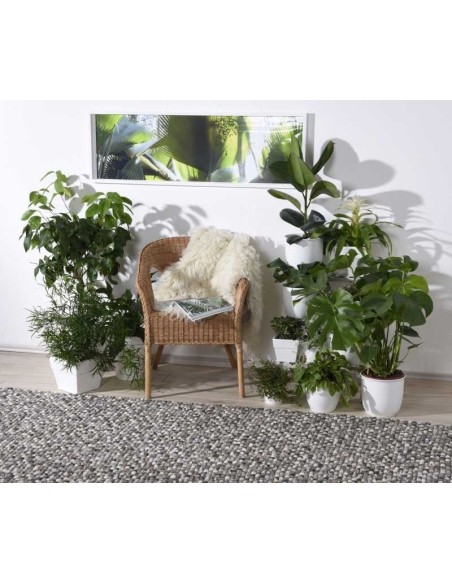 tappeto Felty 2.2 UNI 115 naturale multi