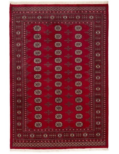 Hand made rug Bukhara fine Pakistan cm.169x248