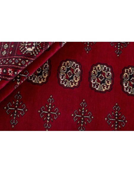 Hand made rug Bukhara fine Pakistan cm.169x248