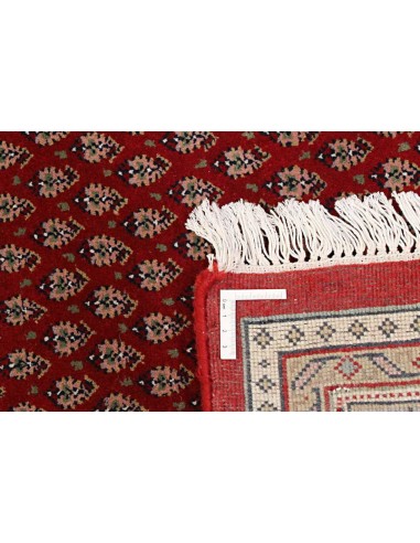 Hand made rug Mir Indi India cm.247x336