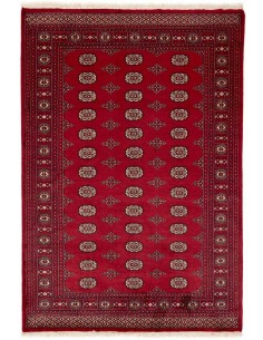 Hand made rug Bukhara fine Pakistan cm.171x250
