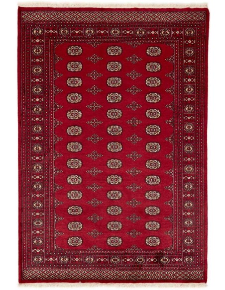Hand made rug Bukhara fine Pakistan cm.171x250