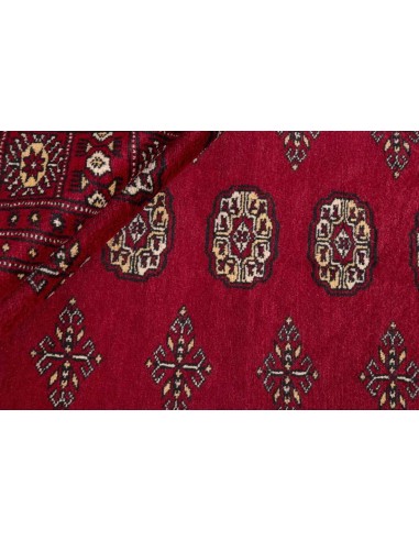 Hand made rug Bukhara fine Pakistan cm.171x250