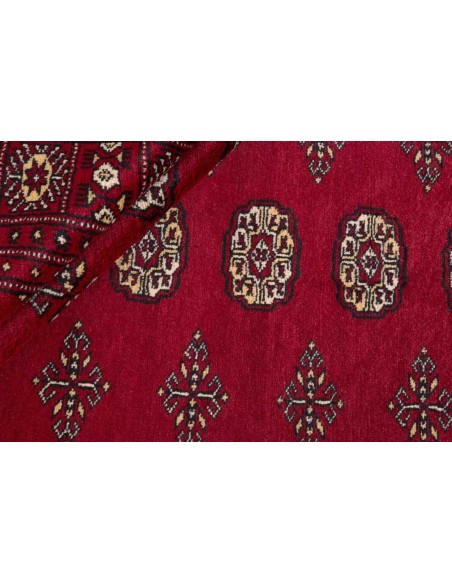 Hand made rug Bukhara fine Pakistan cm.171x250