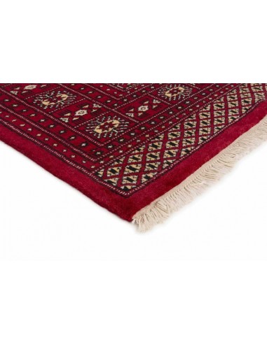 Hand made rug Bukhara fine Pakistan cm.171x250