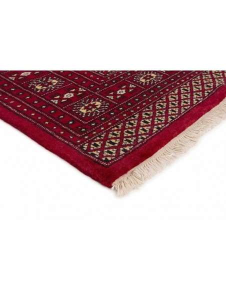 Hand made rug Bukhara fine Pakistan cm.171x250