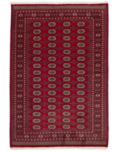 Hand made rug Bukhara fine Pakistan cm.169x244