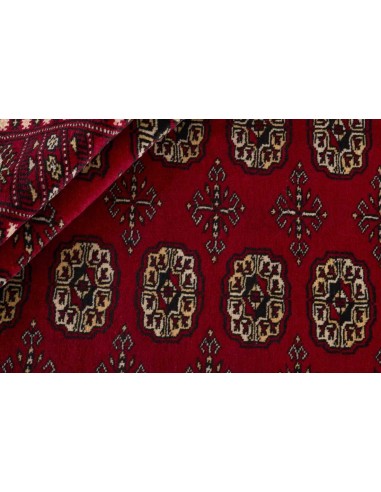 Hand made rug Bukhara fine Pakistan cm.169x244