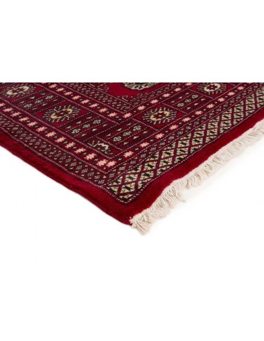 Hand made rug Bukhara fine Pakistan cm.169x244