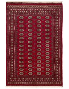Hand made rug Bukhara fine Pakistan cm.168x252