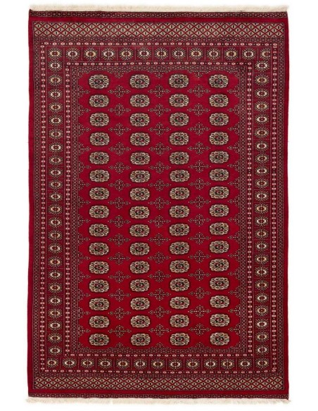 Hand made rug Bukhara fine Pakistan cm.168x252