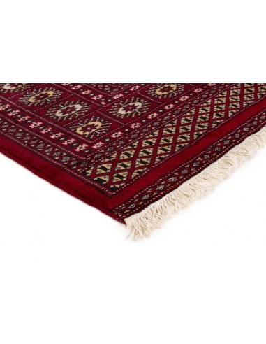 Hand made rug Bukhara fine Pakistan cm.168x252