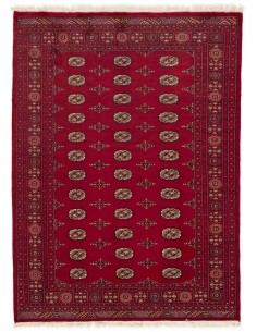 Hand made rug Bukhara fine Pakistan cm.171x233