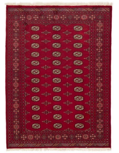 Hand made rug Bukhara fine Pakistan cm.171x233