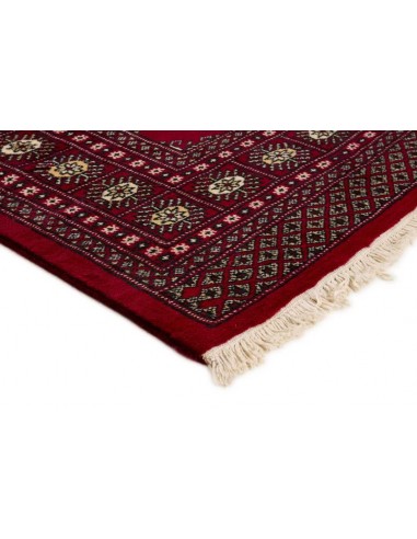 Hand made rug Bukhara fine Pakistan cm.170x255