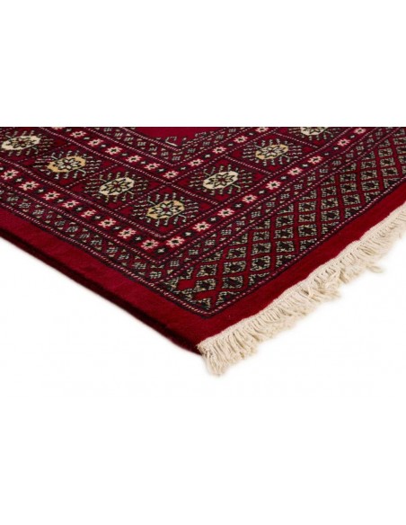 Hand made rug Bukhara fine Pakistan cm.170x255