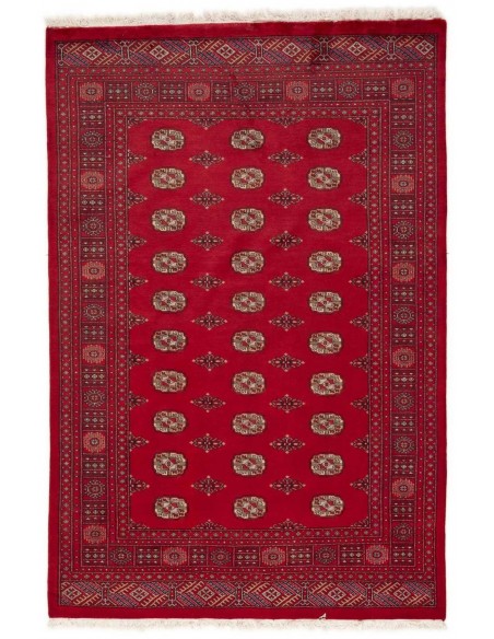 Hand made rug Bukhara fine Pakistan cm.169x253