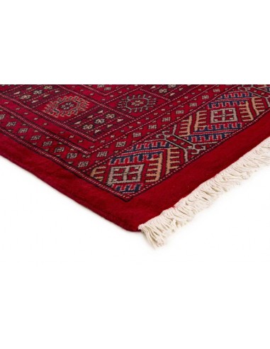 Hand made rug Bukhara fine Pakistan cm.169x253
