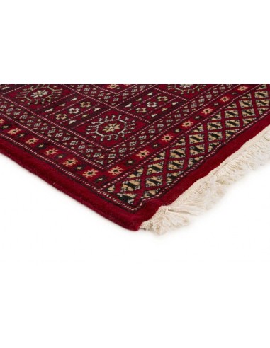 Hand made rug Bukhara fine Pakistan cm.167x254