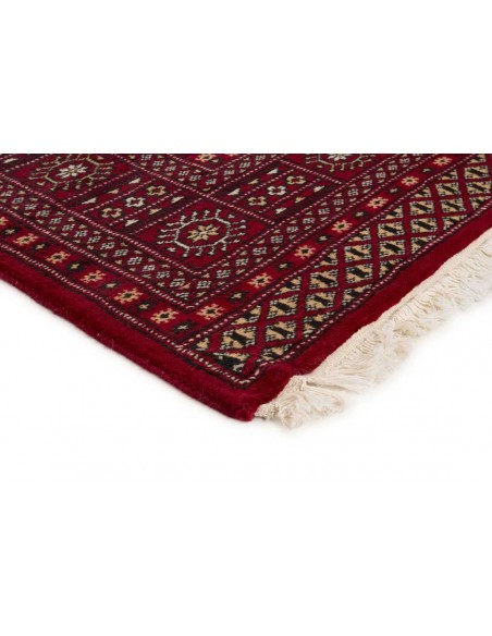 Hand made rug Bukhara fine Pakistan cm.167x254