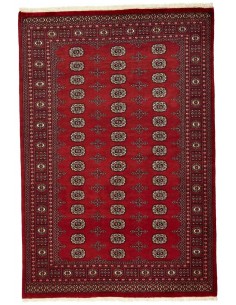 Hand made rug Bukhara fine Pakistan cm.172x254