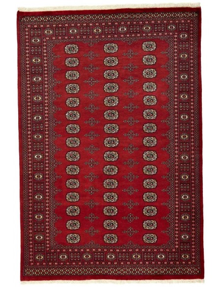 Hand made rug Bukhara fine Pakistan cm.172x254