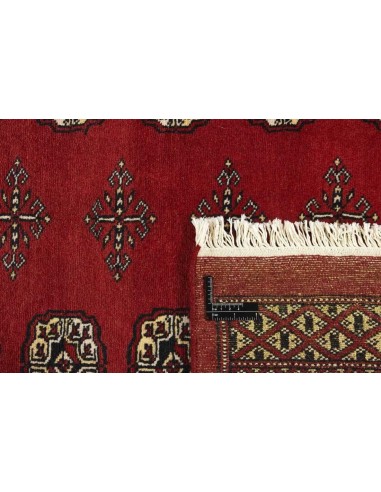 Hand made rug Bukhara fine Pakistan cm.172x254