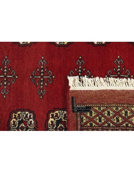 Hand made rug Bukhara fine Pakistan cm.172x254
