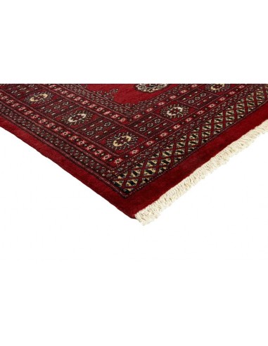 Hand made rug Bukhara fine Pakistan cm.172x254