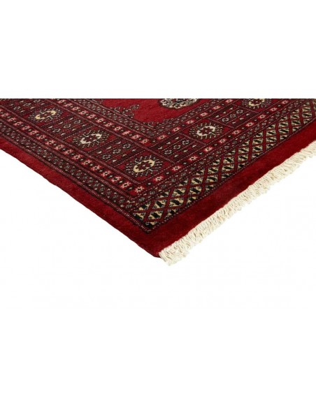 Hand made rug Bukhara fine Pakistan cm.172x254